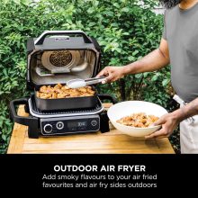 گریل باربیکیو برقی نینجا مدل OG701